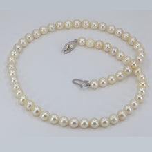 將圖片載入圖庫檢視器 White Culture Pearl Necklace with Silver Clasp 18&quot;
