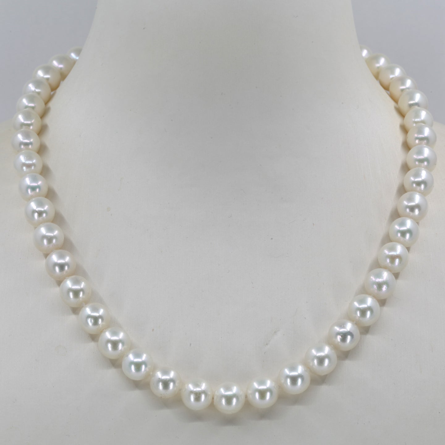 White Culture Pearl Necklace with 14K White Gold Clasp 16.5