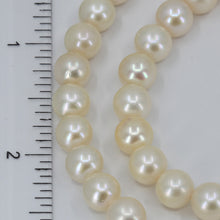 將圖片載入圖庫檢視器 White Culture Pearl Necklace with Silver Clasp 18&quot;
