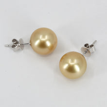 Load image into Gallery viewer, 18K White Gold South Sea Golden Pearl Stud Earrings 11 mm 4.9 Grams
