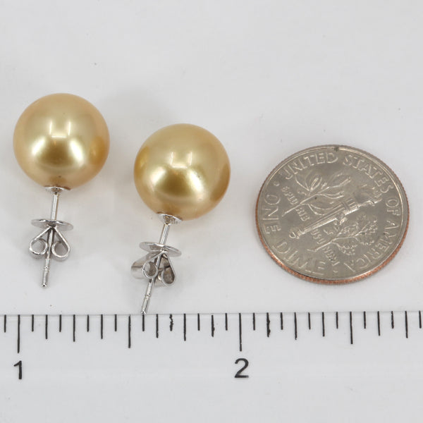 18K White Gold South Sea Golden Pearl Stud Earrings 11 mm 4.9 Grams